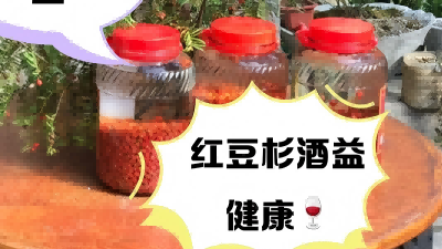 保健养生产品